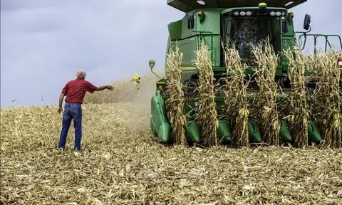 Thị trường nông sản tuần qua: Xung đột Nga-Ukraine chi phối diễn biến của các mặt hàng chủ chốt