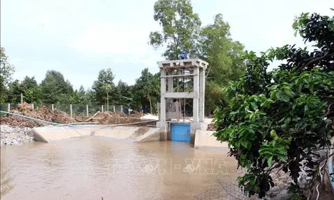 Bến Tre chủ động nguồn nước ngọt cho mùa hạn mặn