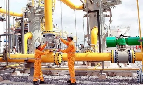 PGD sẽ chia cổ tức 18% trong năm 2022