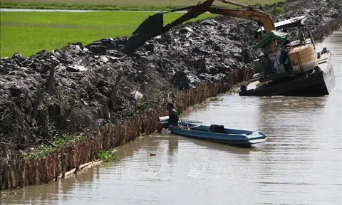 Hậu Giang: Không chủ quan trong ứng phó với xâm nhập mặn