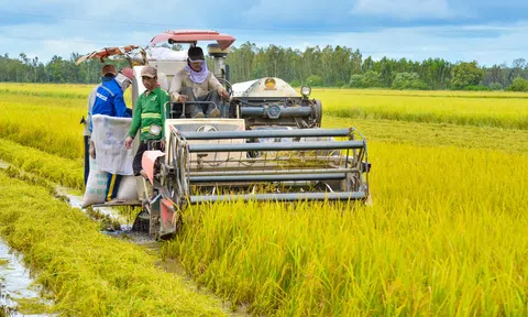 Xây dựng nông thôn mới giúp đời sống nông dân Kiên Giang đổi thay