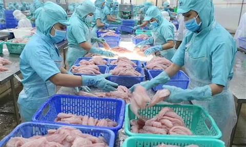 2 tháng, giá trị xuất siêu nông, lâm, thủy sản tăng gần 87%