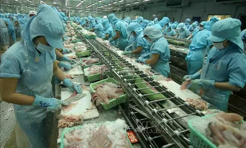 Căng thẳng Nga - Ukraine: Nhận định đúng để khai thác hiệu quả thị trường trong nước và đẩy mạnh xuất khẩu