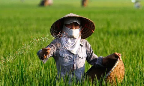 Khuyến khích nông dân sử dụng phân hữu cơ để giảm chi phí sản xuất