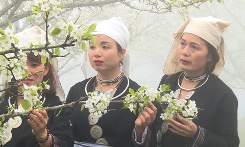 Chuẩn bị sẵn sàng tổ chức Lễ hội Hoa Lê Hồng Thái tại Tuyên Quang