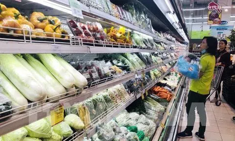 Cơ hội cho doanh nghiệp trên thị trường thực phẩm chay và thay thế