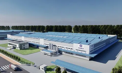 Năm 2021, Vinamilk lần đầu tiên vượt doanh thu 61.000 tỷ đồng, nhà đầu tư có thể tiếp tục kỳ vọng