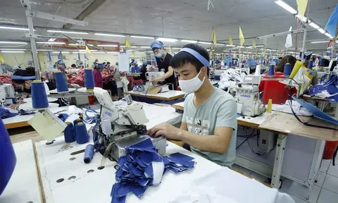 Cơ sở kỳ vọng kinh tế Việt Nam phục hồi và tăng trưởng trở lại