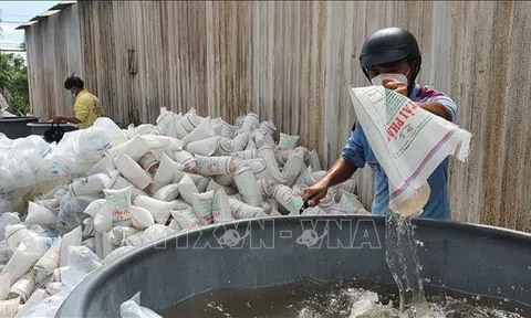 Bạc Liêu: Quản lý chặt chất lượng tôm giống
