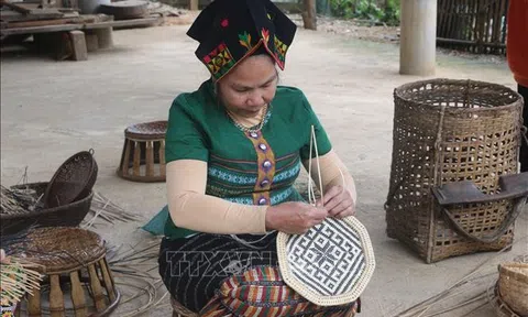 Nghệ An đưa sản phẩm tre nứa xuất ngoại