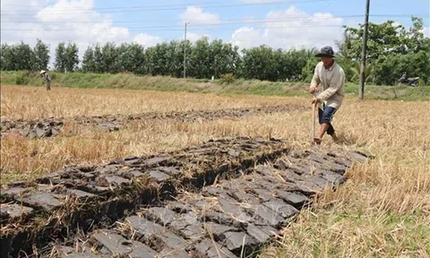 Trà Vinh hỗ trợ hơn 390 tỷ đồng tái cơ cấu nông nghiệp