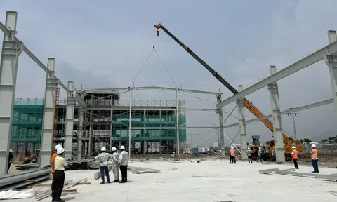 Hòa Phát bắt đầu bán container từ quý IV/2022