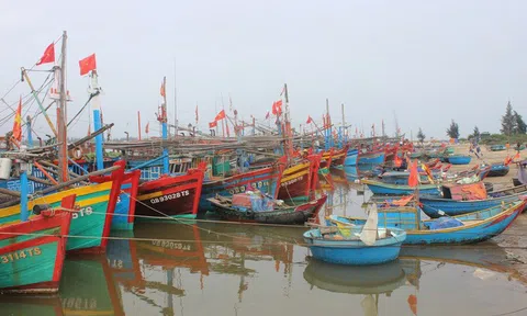 Biển đảo Việt Nam: Tìm giải pháp cho tàu cá nằm bờ