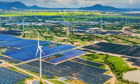 Thanh tra các dự án năng lượng tái tạo tại 6 tỉnh miền Trung – Tây Nguyên