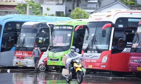 Vận tải Đà Nẵng gặp khó khi giá xăng tăng