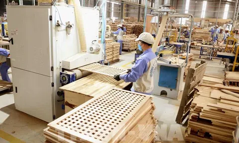 Ngành gỗ thêm tự chủ nguồn cung nguyên liệu trong nước
