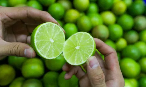 Ninh Thuận: Chanh không hạt cho "quả ngọt" trên vùng đất nắng