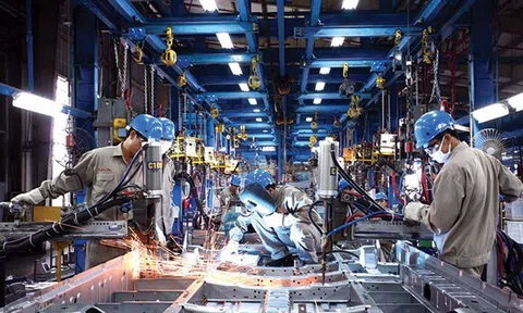 Thúc đẩy hợp tác kinh tế với các doanh nghiệp Hoa Kỳ