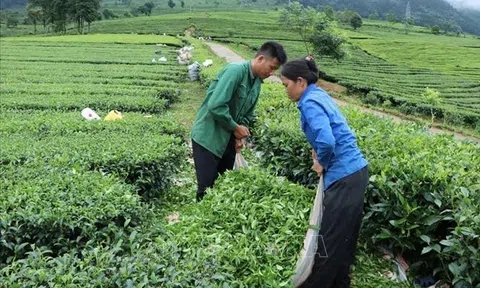 Bắc Giang đặt mục tiêu đảm bảo tưới cho trên 80% vùng miền núi