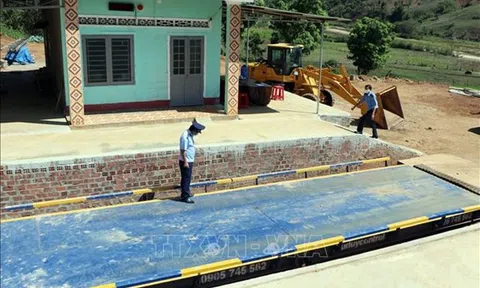 Kon Tum: Chấn chỉnh tình trạng các trạm cân nông sản tự phát