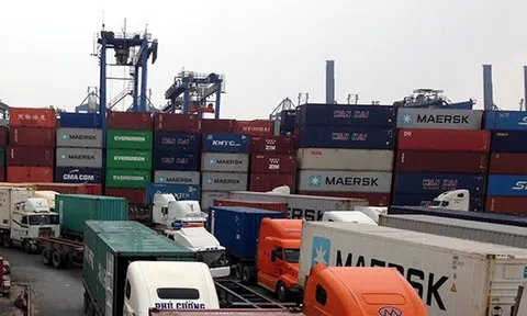 Tiến triển tích cực trong vụ 100 container hạt điều xuất khẩu sang Italy