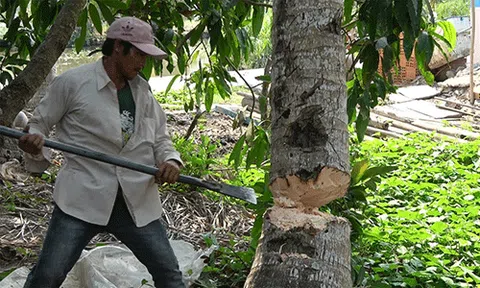 Bình Thuận:  Chủ tịch UBND huyện Bắc Bình tạo điều kiện thuận tiện cho công dân!