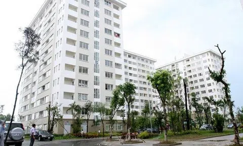 Hà Nội thúc đẩy phát triển các dự án nhà ở xã hội bảo đảm đồng bộ, hiệu quả và lâu dài