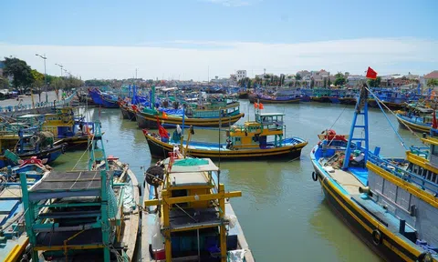 Hàng nghìn con tàu tại Thanh Hóa nằm bờ do giá xăng dầu tăng kỷ lục