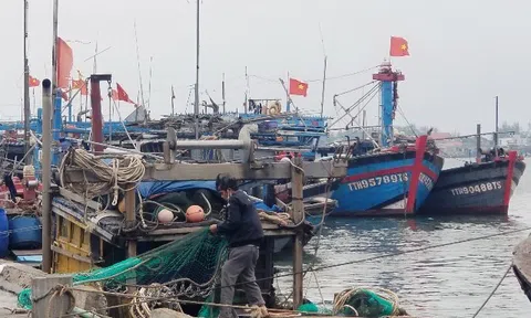 Đà Nẵng: Vượt khó giá dầu tăng cao, nông dân vẫn vươn khơi bám biển