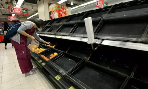 Người tị nạn Hong Kong đối mặt với cuộc khủng hoảng lương thực “thảm khốc”