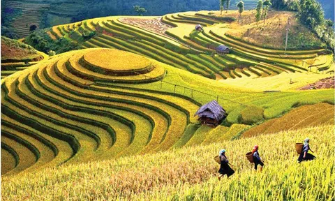 Yên Bái phân bổ hơn 42 tỷ đồng cho phát triển nông nghiệp, thủy sản