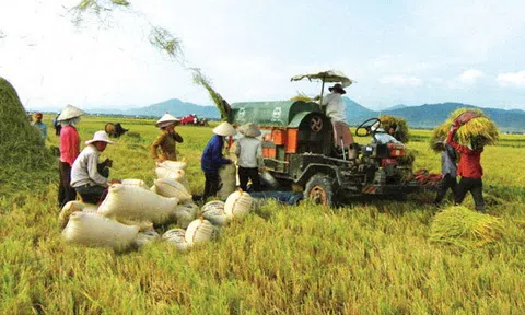 Bạc Liêu: Hiệu quả ứng dụng cơ giới hóa trong sản xuất ở các hợp tác xã