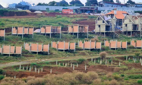 Lâm Đồng siết chặt quản lý đất đai và trật tự xây dựng trên địa bàn