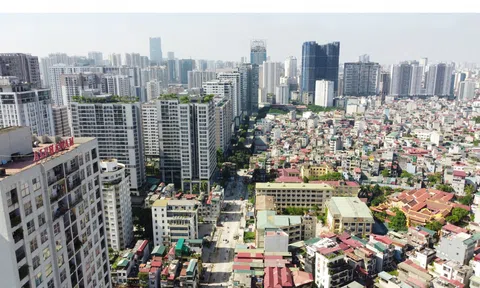 Thay thế 2 thủ tục hành chính trong lĩnh vực kinh doanh bất động sản