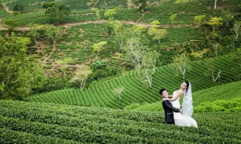 Tiềm năng phát triển du lịch trải nghiệm từ cây chè ở vùng thượng Kỳ Anh