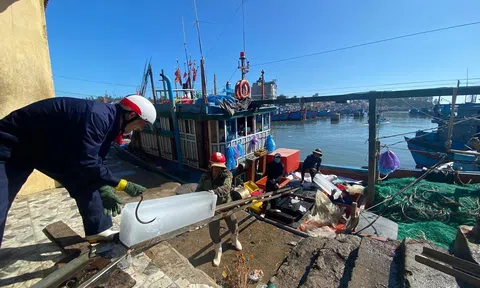 Nâng hiệu quả khai thác cho mỗi chuyến biển trước áp lực chi phí xăng dầu