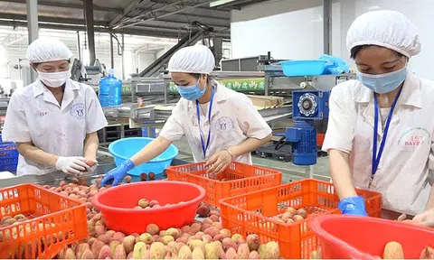 Gian nan câu chuyện đưa sản phẩm hợp tác xã lên sàn