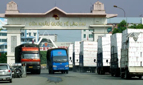 Hỗ trợ doanh nghiệp sản xuất thực phẩm đăng ký xuất khẩu sang Trung Quốc