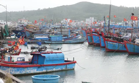 Quảng Ninh khoảng 60% tàu đánh cá nằm bờ do thua lỗ