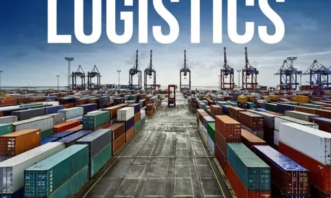 Hoàn thiện cơ sở pháp luật về thống kê logictics