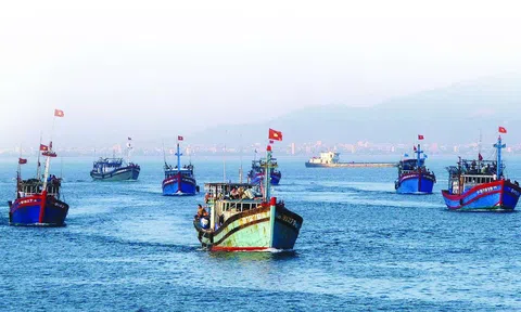 Ngư dân Thái Bình vẫn bám biển dù khó khăn chồng chất