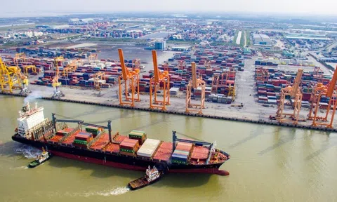 Giá nhiên liệu tăng cao: Kiến nghị giảm thuế, phí tháo gỡ khó khăn cho vận tải biển