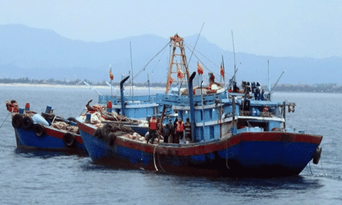 Quảng Ngãi nhiều tàu cá bị bán đấu giá để thu hồi nợ