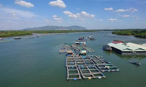 Bà Rịa-Vũng Tàu hoàn thành 100% chỉ tiêu xã đạt chuẩn nông thôn mới