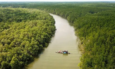 Kiên Giang phát triển rừng ứng phó với biến đổi khí hậu