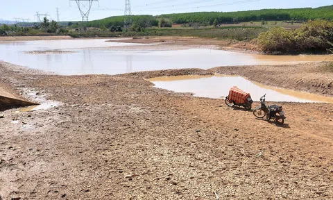 Kon Tum: Phòng, chống hạn hán ở những vùng có nguy cơ cao