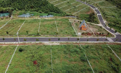 Bình Phước tạm dừng tách thửa đất nông nghiệp để ngăn phân lô bán nền