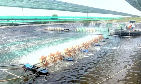 Ứng dụng công nghệ cao trong sản xuất cho lợi nhuận tăng gấp từ 2-3 lần