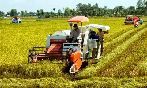 Sức lan toả từ những mô hình hợp tác xã kiểu mới