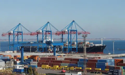 Nghiên cứu siêu dự án cảng trung chuyển container quốc tế Cần Giờ